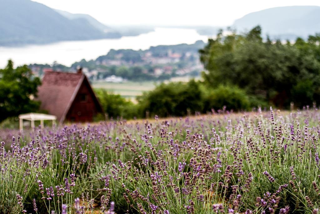 Natura Hill Panzio & Slow Food Fine Bistro Hotel Zebegeny Luaran gambar